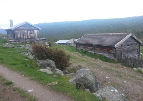 Mot uppnose